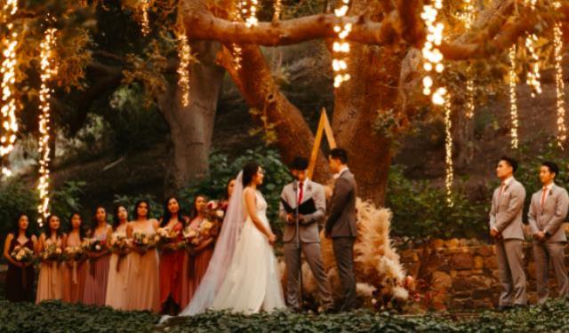 Rental store for LIGHTS, CLUSTER WARM WHITE, 9 TALL in Colonial Heights VA